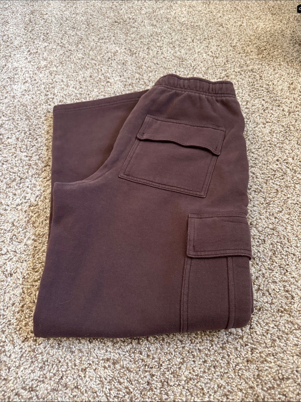 ARITZIA MEGA FLEECE CARGO SWEATS